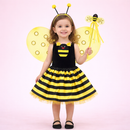 Irmãs Joaninha & Abelhinha – Kit Fantasia Infantil