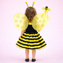 Irmãs Joaninha & Abelhinha – Kit Fantasia Infantil